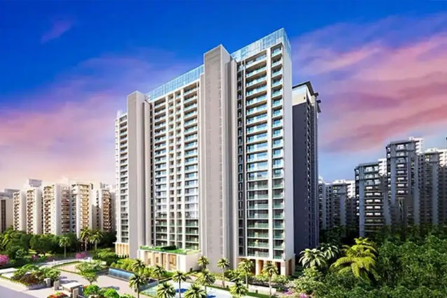 Nerul